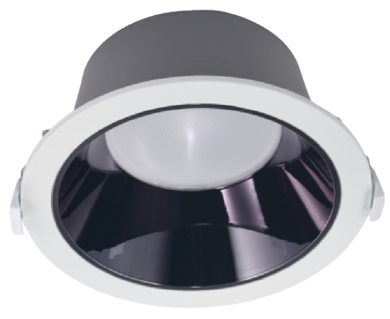 DLC LED DOWN LIGHT